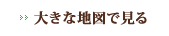 大きなgooglemap