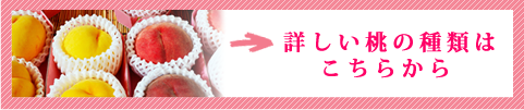 詳しい桃の種類はこちら