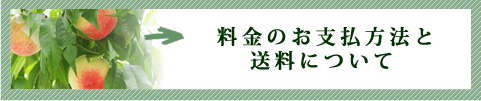料金のお支払方法と送料について
